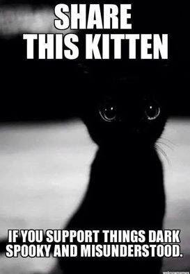 dark kitteh.jpg