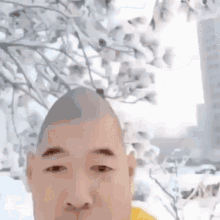 1000022116.gif