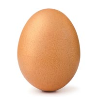1743971604623.png