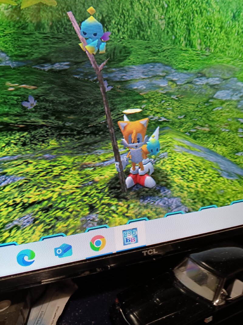 chao1.jpg