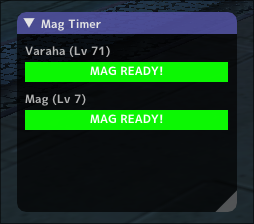 mag_timer.png