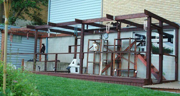 Utah-catio-cropped.jpg