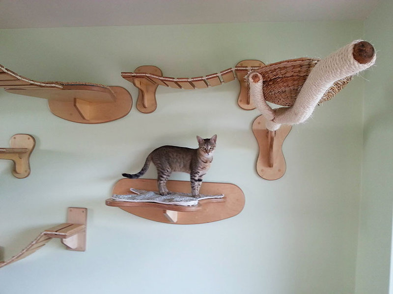 cat-playground-room-goldtatze-10.jpg