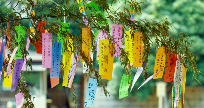 Matt_Tanabata.jpg