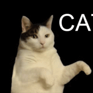 KittyMeowMeow