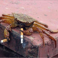 crabwithaknife