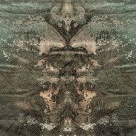 Ulver