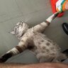 RataGod ( Ratalix )