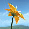 Flowers For Alunon