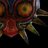 MAJORA