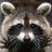 trashpanduh