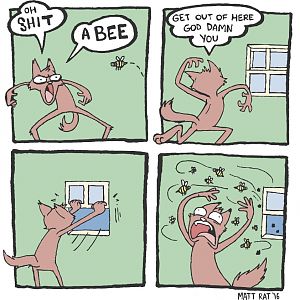 Bee Comic By Matt Rat