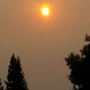 Smokey sun