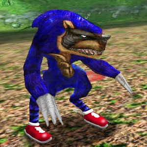 Sonic Booma