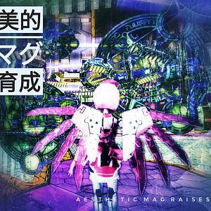 a e s t h e t i c