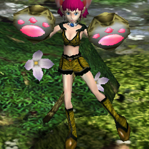 Rare Lep