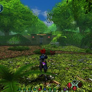 forest.jpg