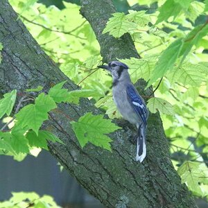 IMGP6679-sm.jpg