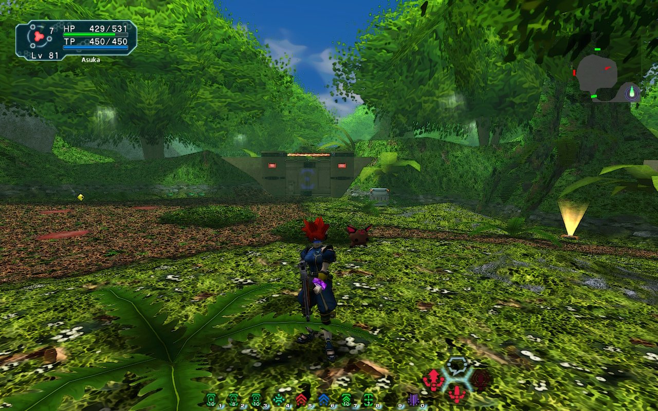 forest.jpg