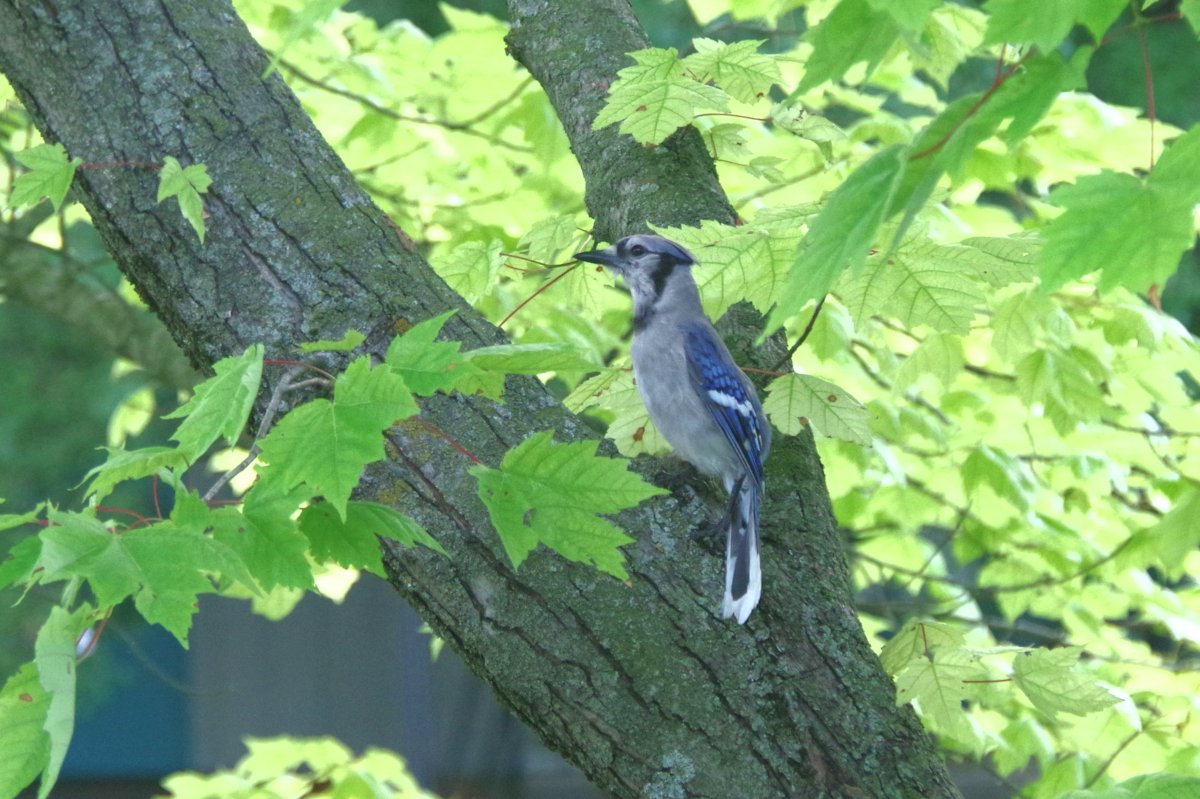 IMGP6679-sm.jpg