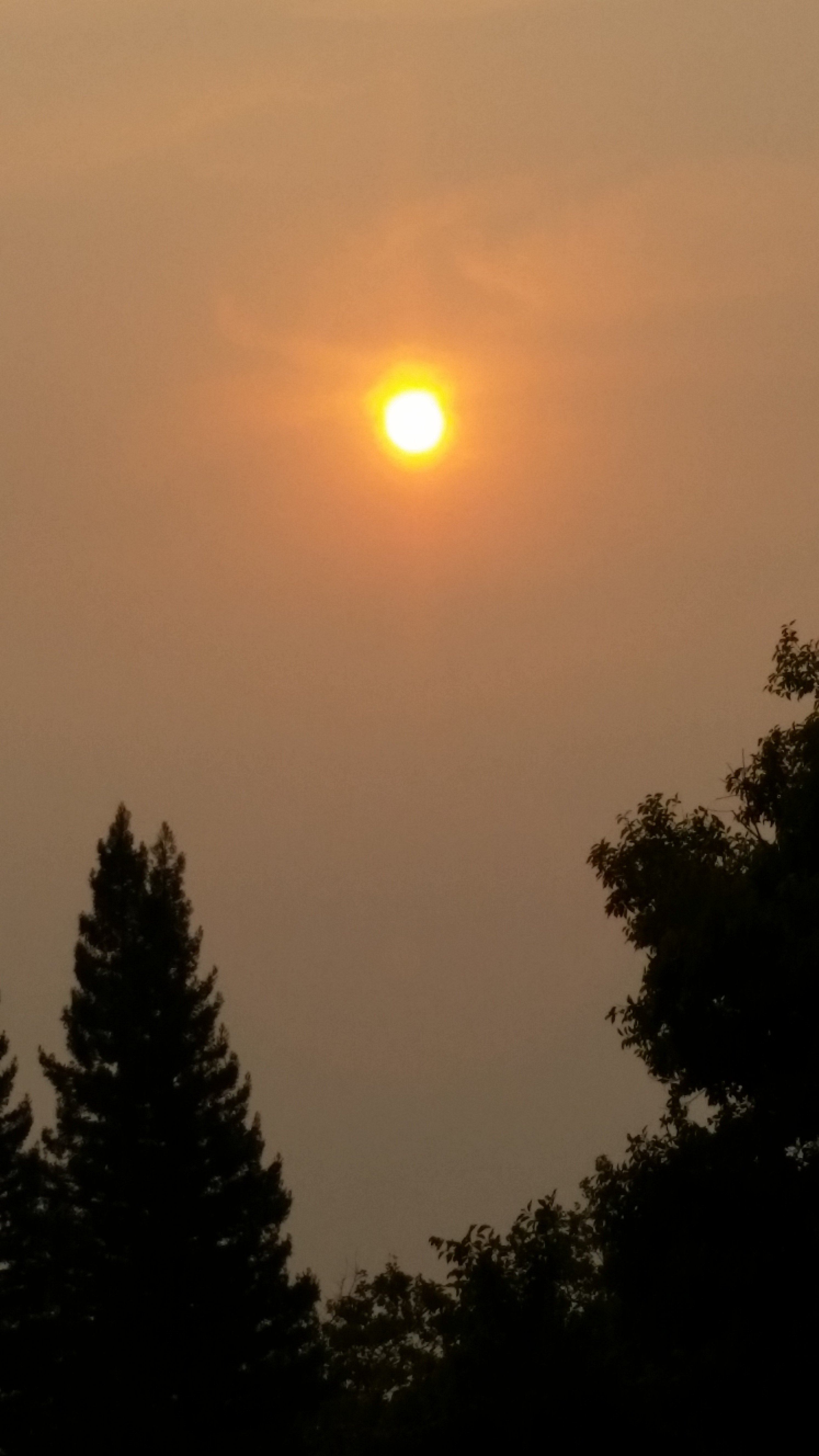 Smokey sun